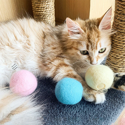 Interactive Electric Smart Cat Toy